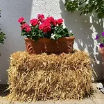 Vakantieappartement Casa de Férias *