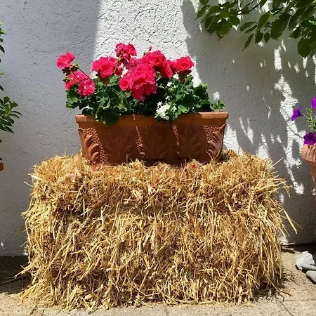 Vakantieappartement Vakantiehuis *
