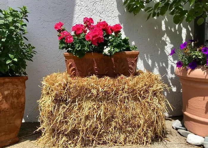 Vakantieappartement בית נופש *